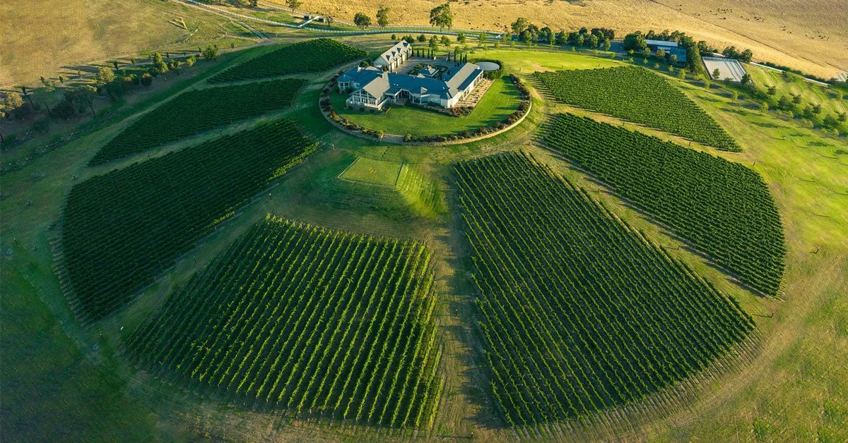 Levantine Hill