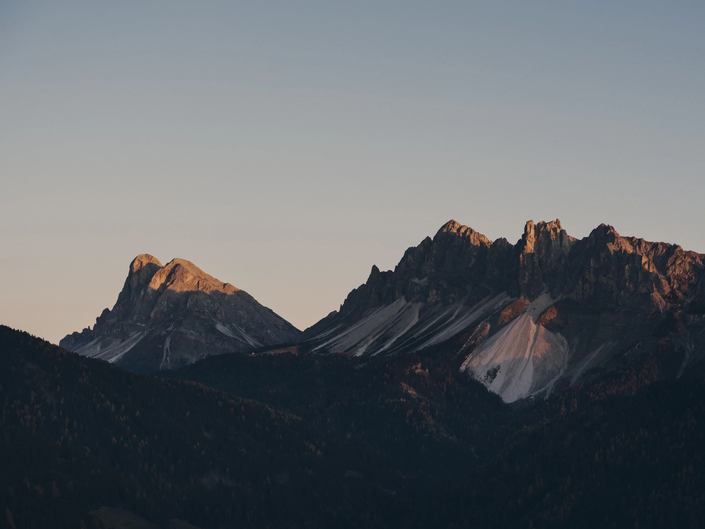 Forestis Dolomites