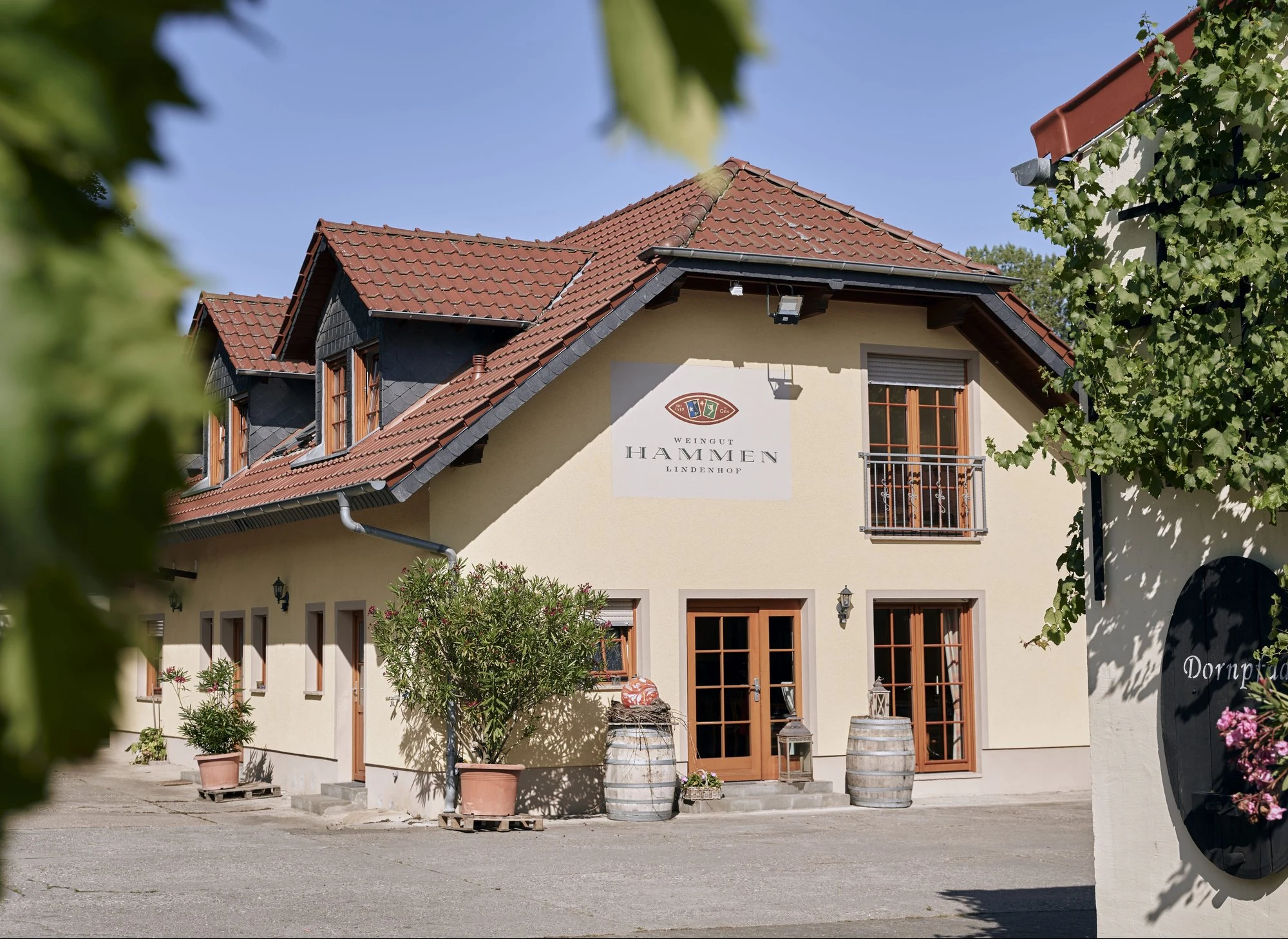 Weingut Hammen