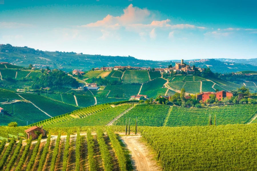 Azienda Agricola Montaribaldi