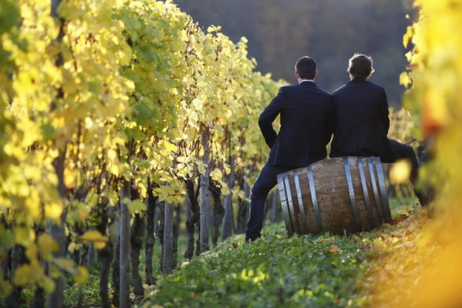 Domaine Madame Aly Duhr S.A
