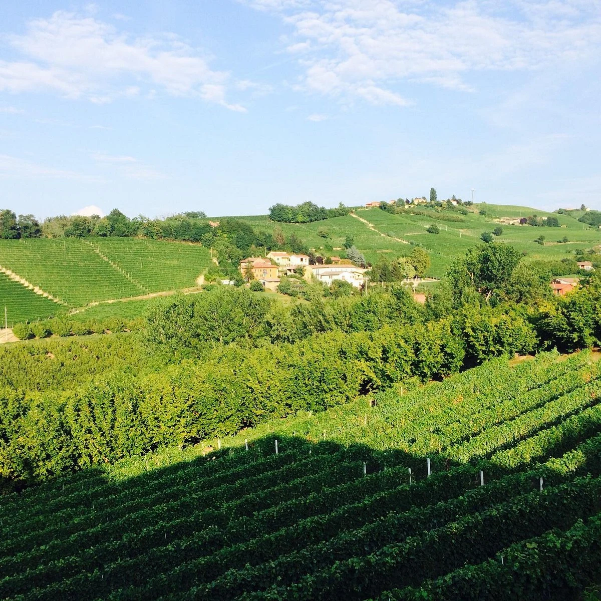 Azienda Agricola F.lli Cigliuti