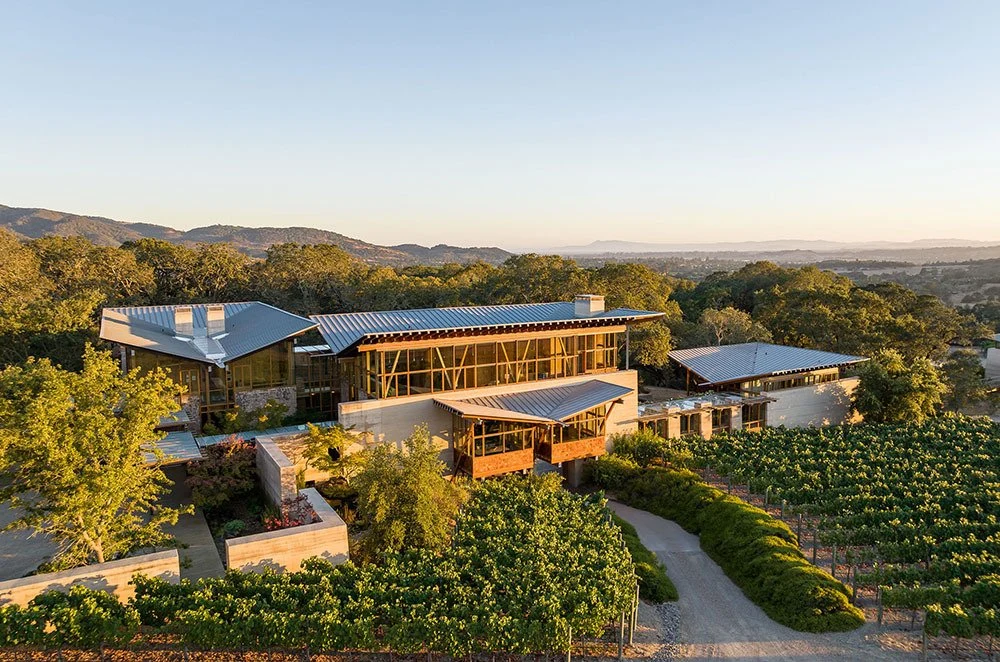 Meteor Vineyard