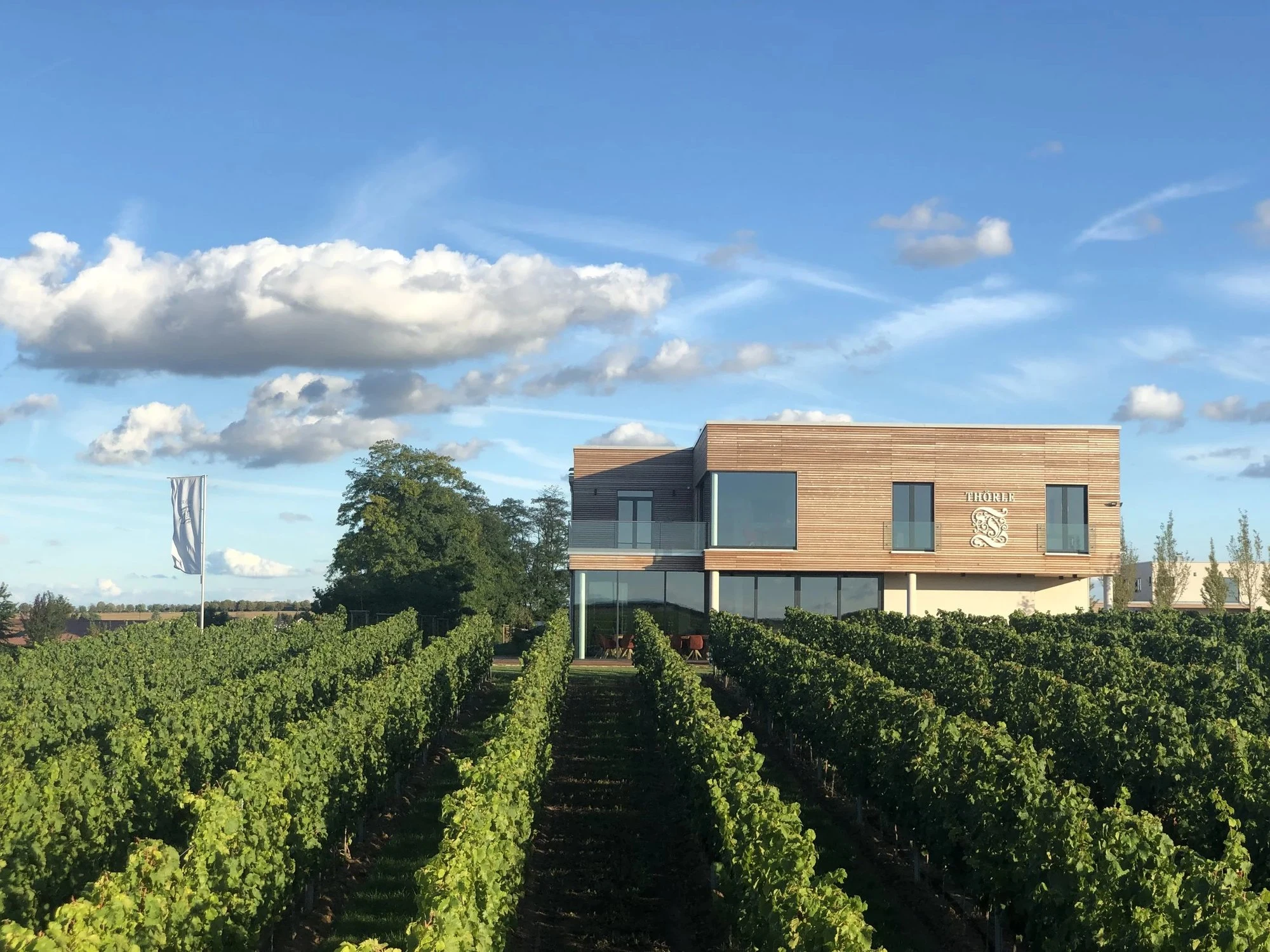 Weingut Thörle