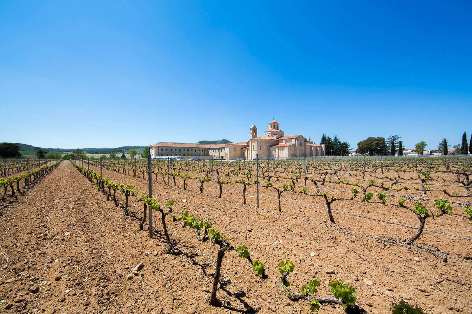 Aalto Bodegas y Vinedos