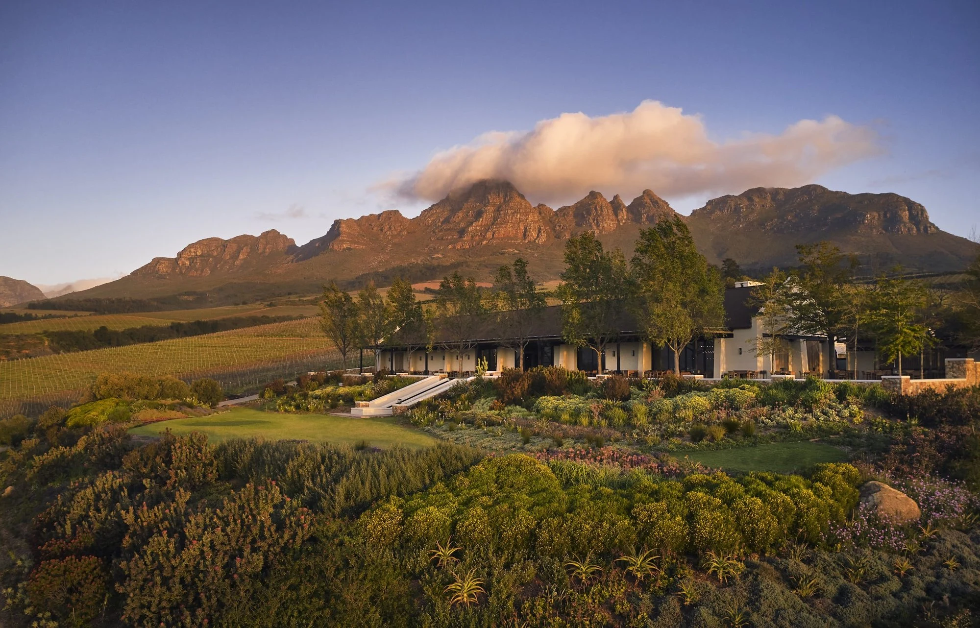 Ernie Els Wines