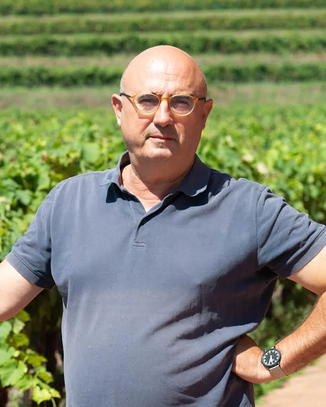 Michele Scammacca del Murgo