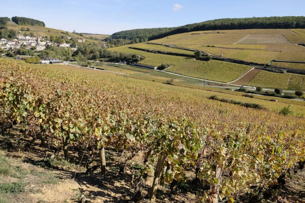 Domaine Follin-Arbelet