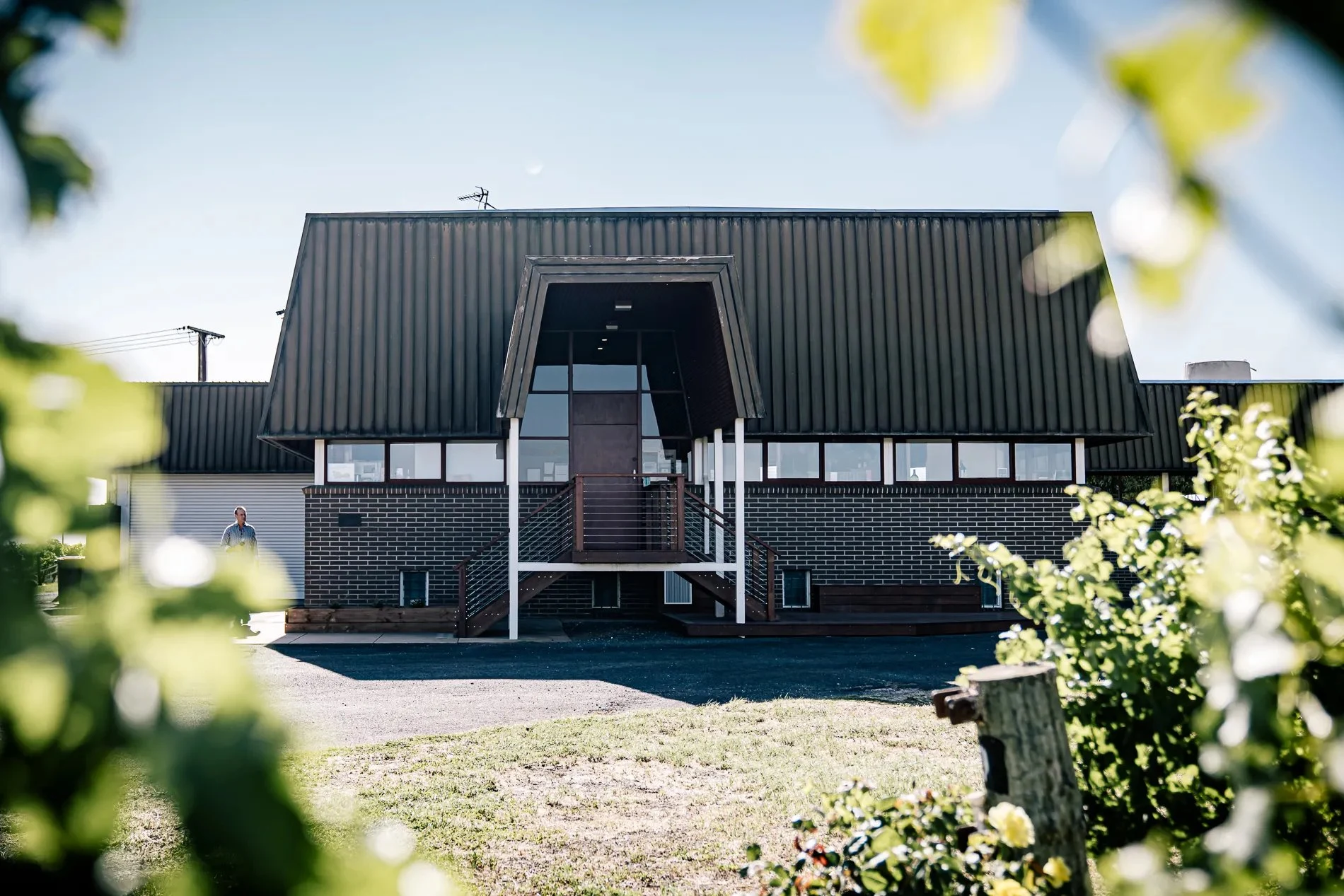 Redman Wines