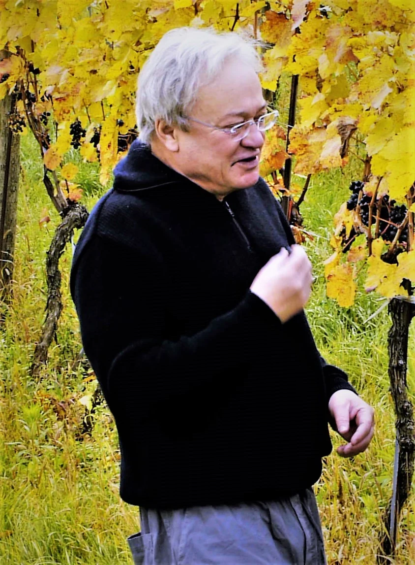 Hans Bichler