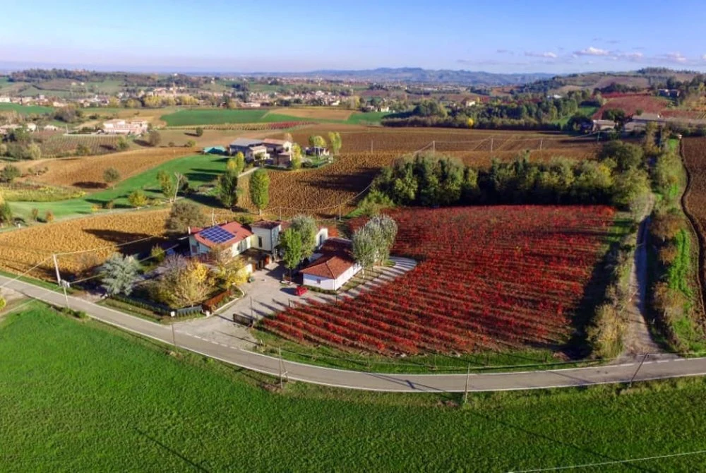 Fattoria Moretto