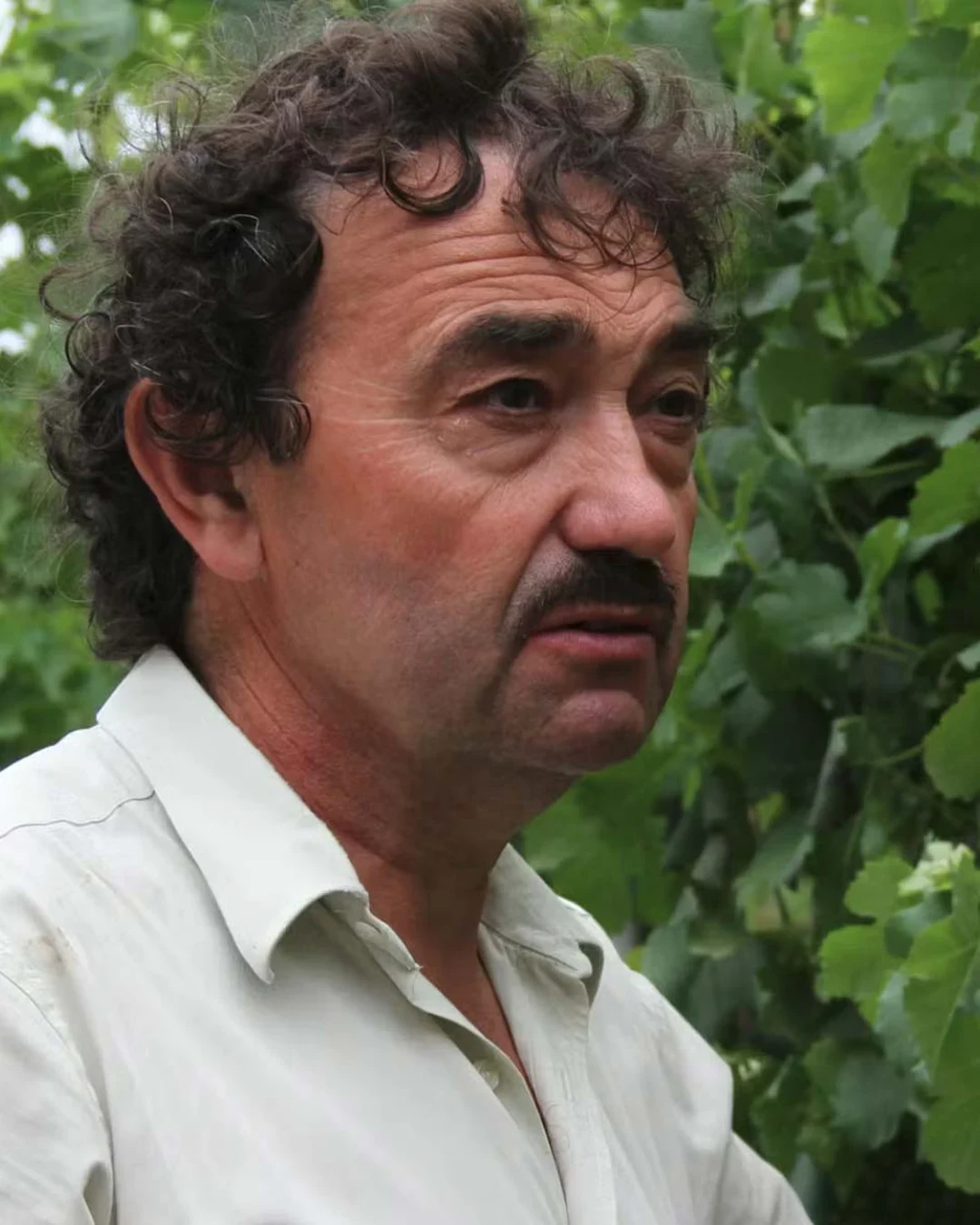 Nicola Manferrari