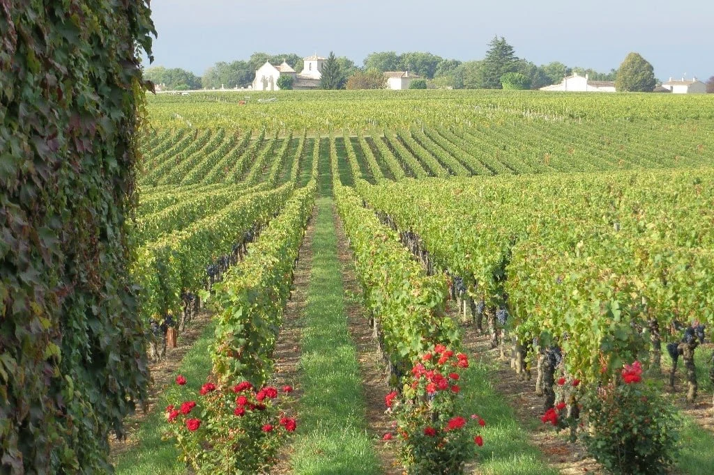 Château Destieux