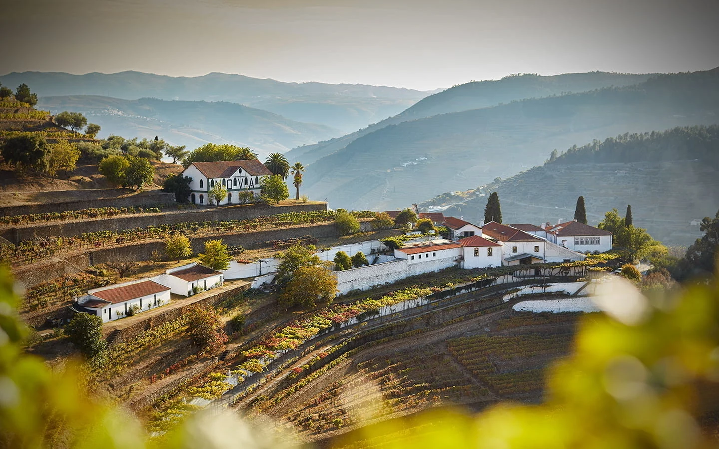 Quinta do Noval