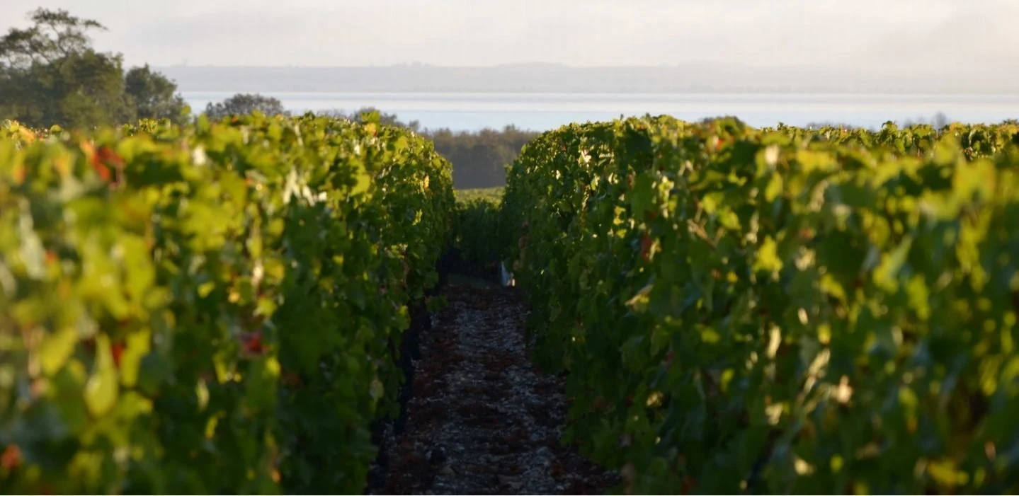 Château Clos Manou