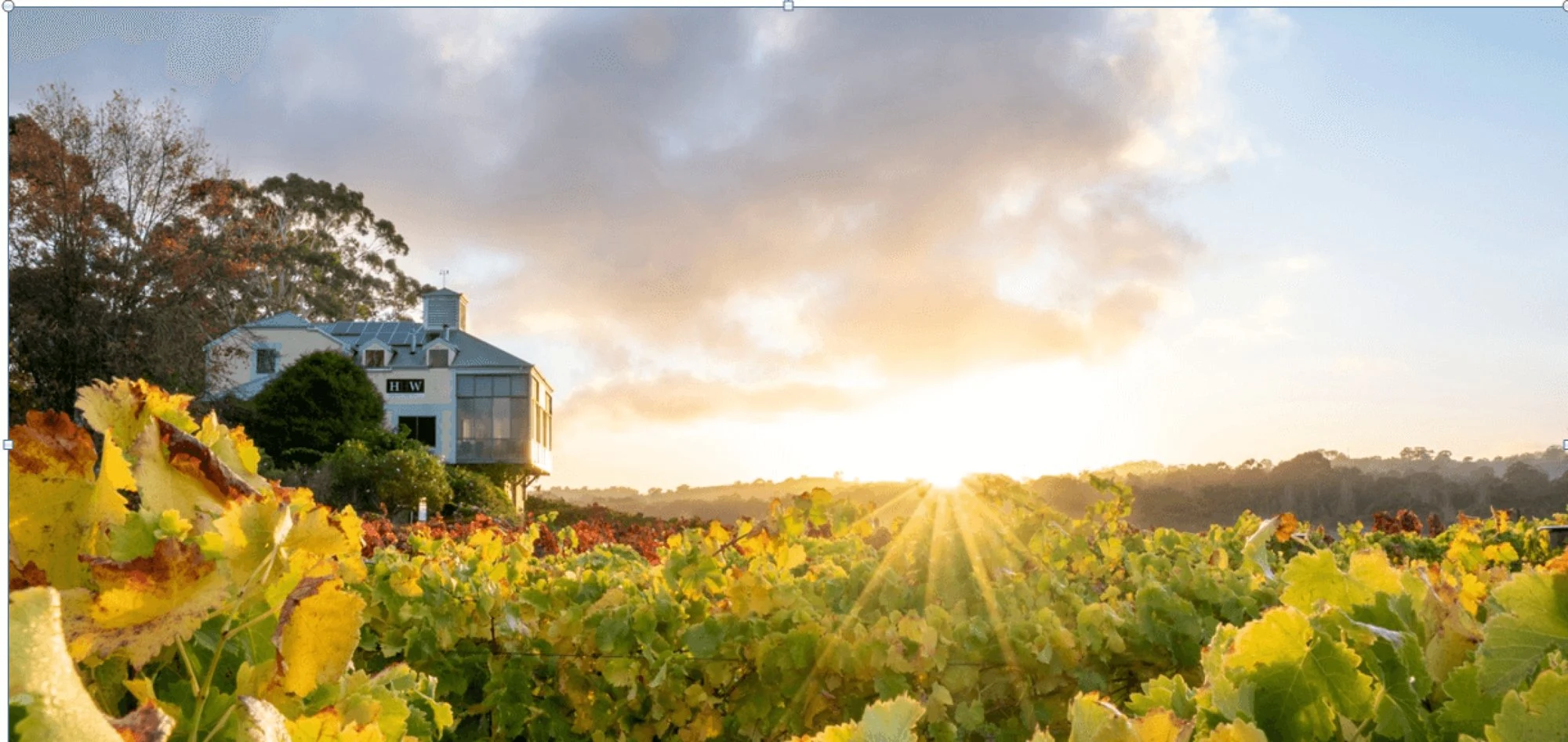 Hahndorf Hill Winery