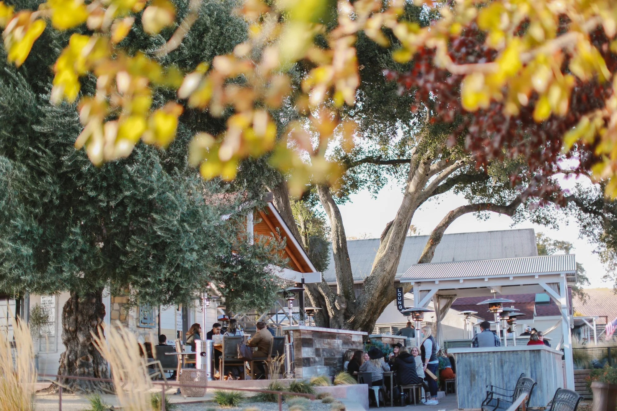Grey Wolf Cellars