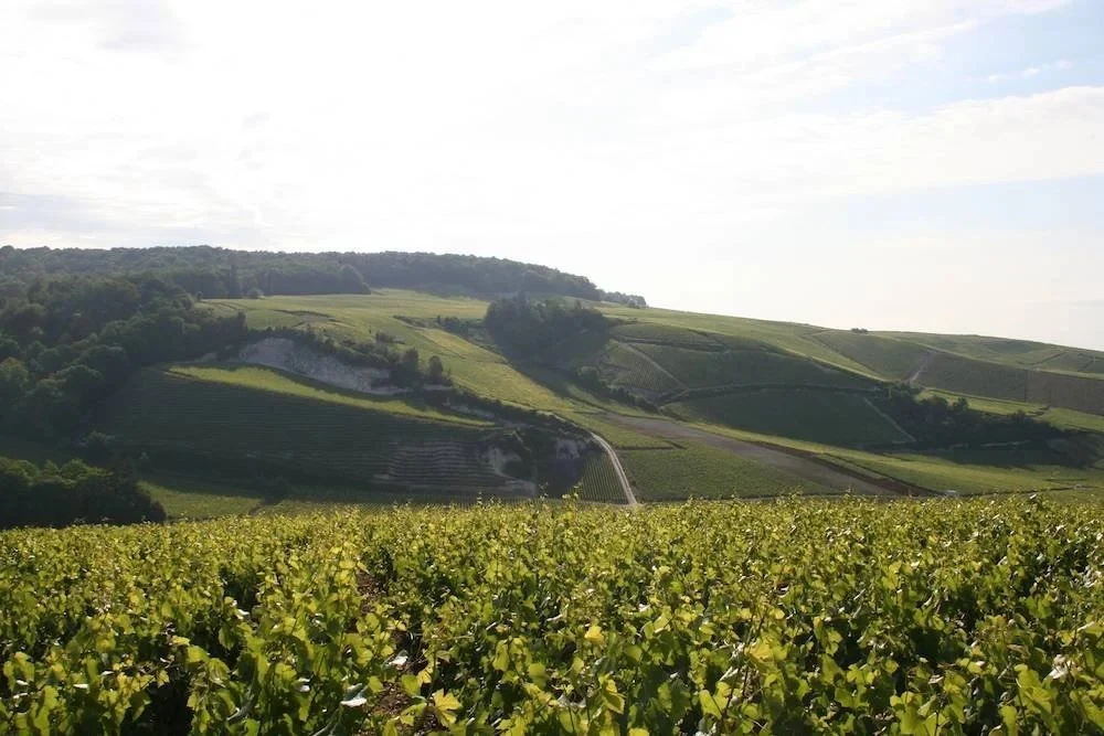 Champagne Geoffroy