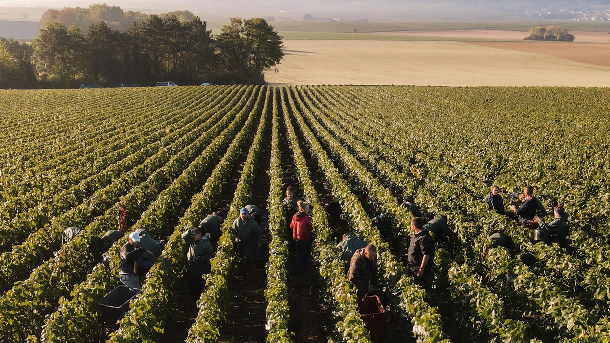 Domaine Les Monts Fournois