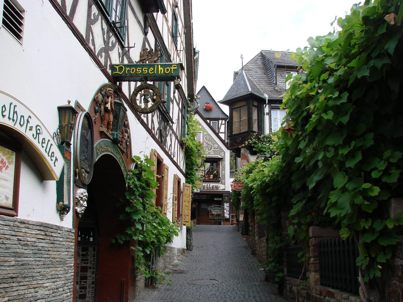 Bischöfliches Weingut Rüdesheim GmbH