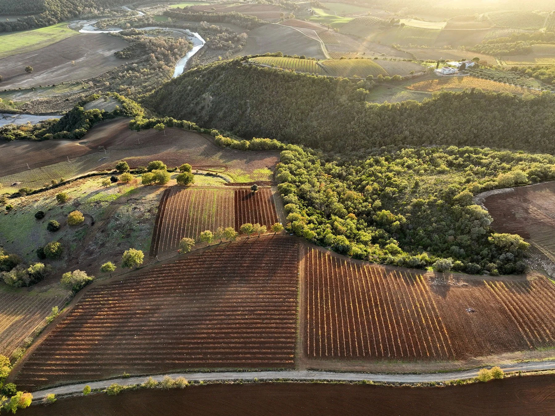 Tenuta Ghiaccio Forte