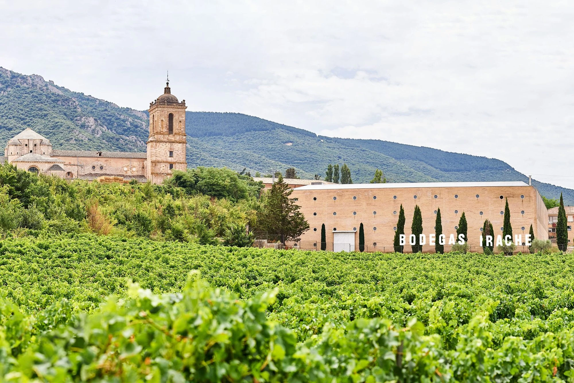 Bodegas Agronavarra