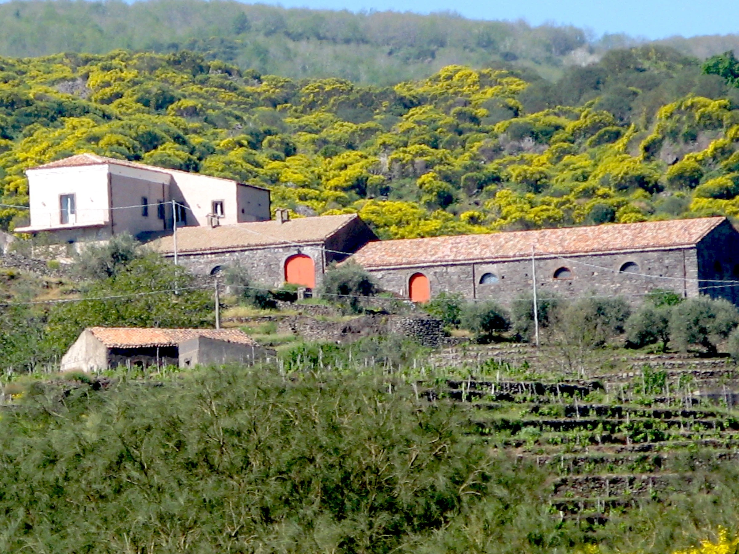 Vini Franchetti Passopisciaro
