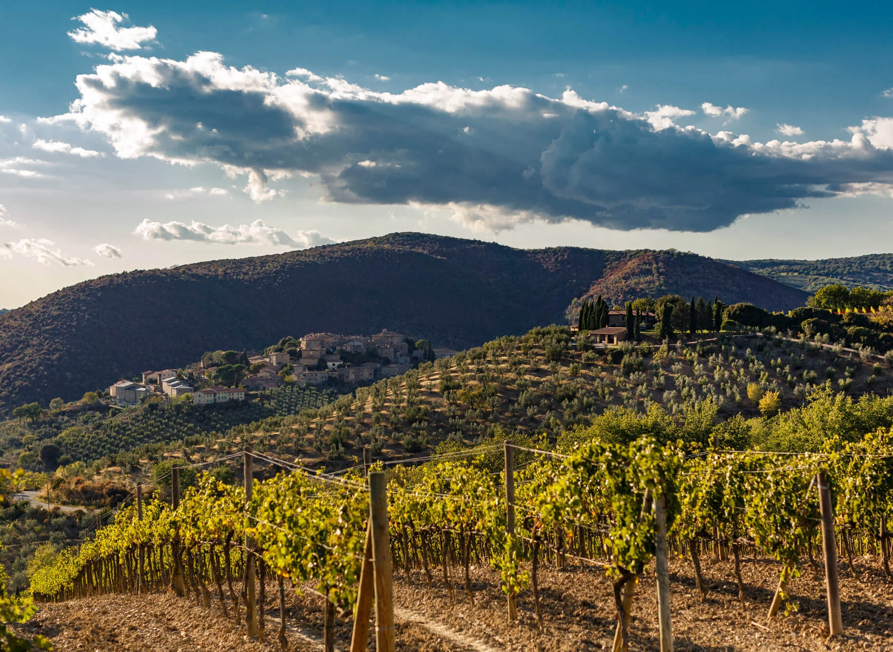 Poggio di Sotto