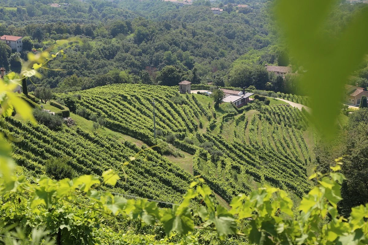 Asolo Manor