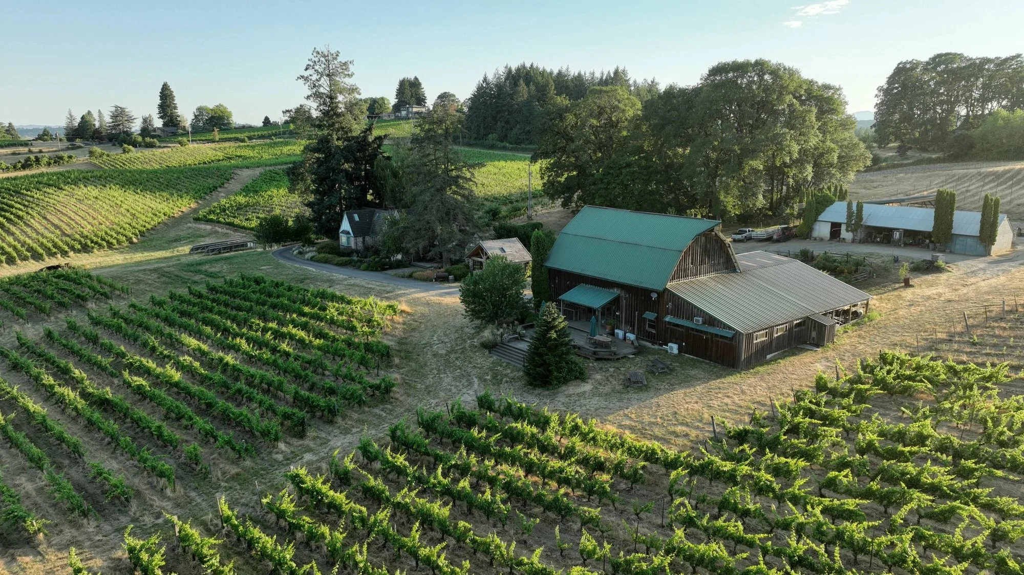 Brick House Wine Co.