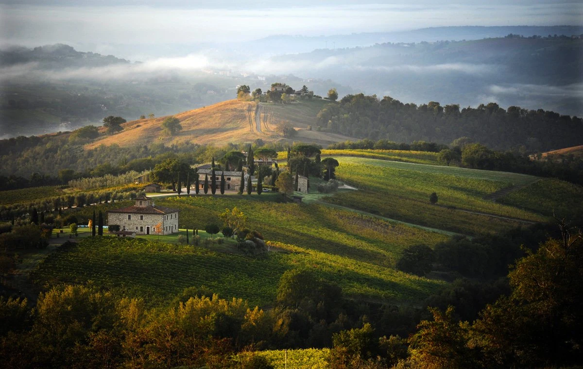 Decugnano dei Barbi