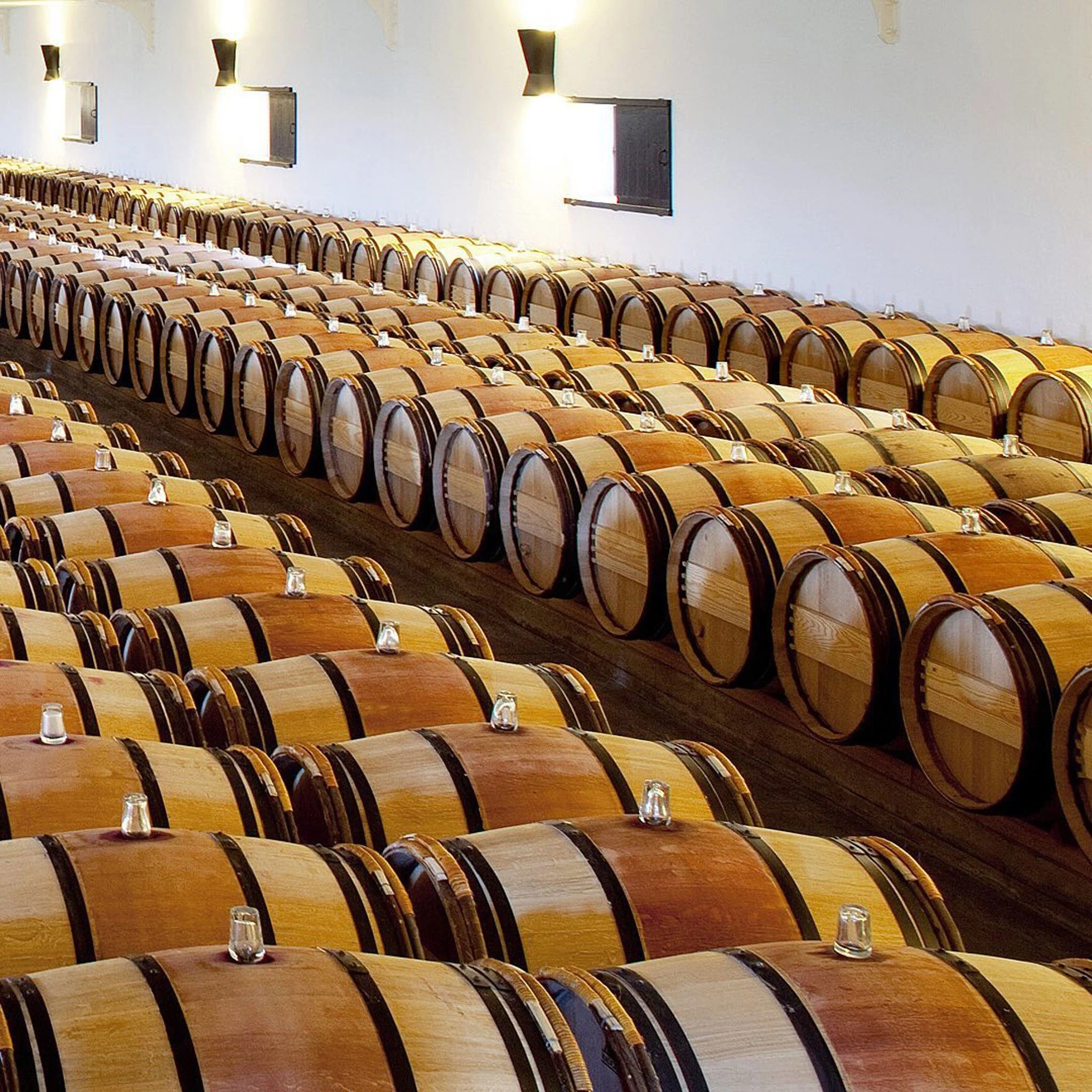Chateau Mouton Rothschild