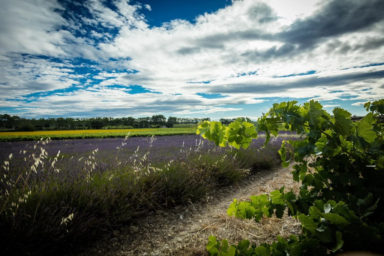 Les Collines du Bourdic