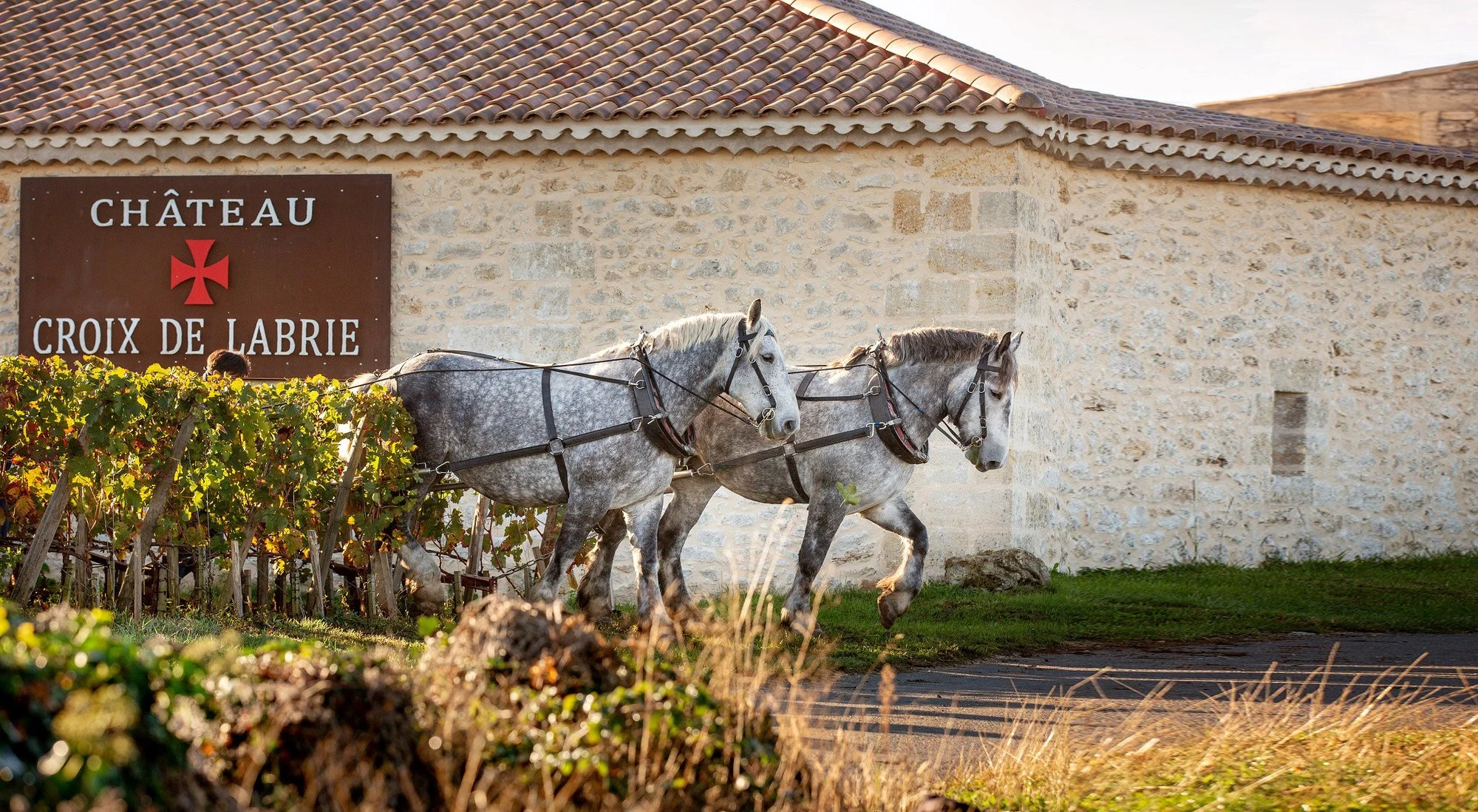Château Croix de Labrie