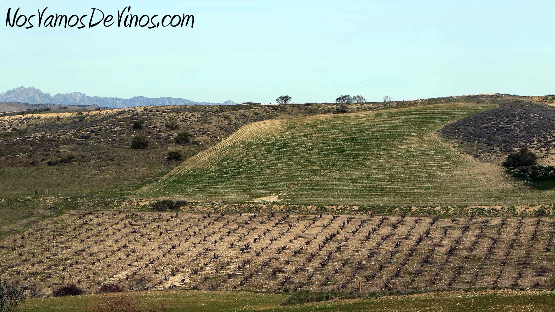 Bodegas Trus