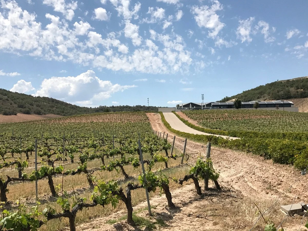 Bodegas y Vinedos Montecastro