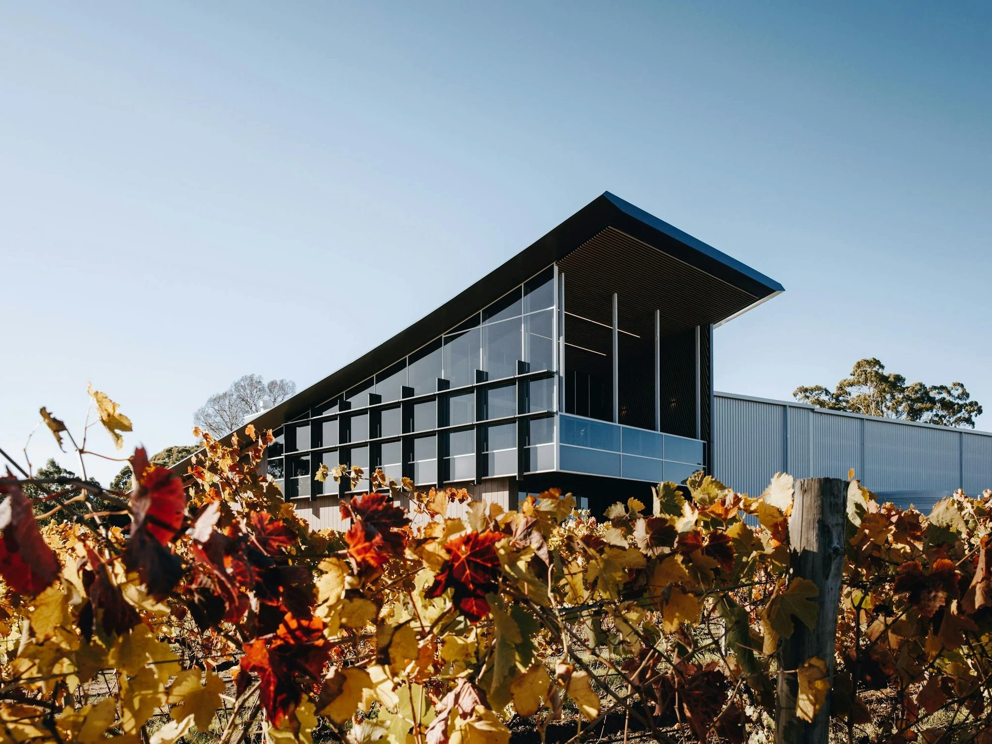 Yangarra Estate Vineyard
