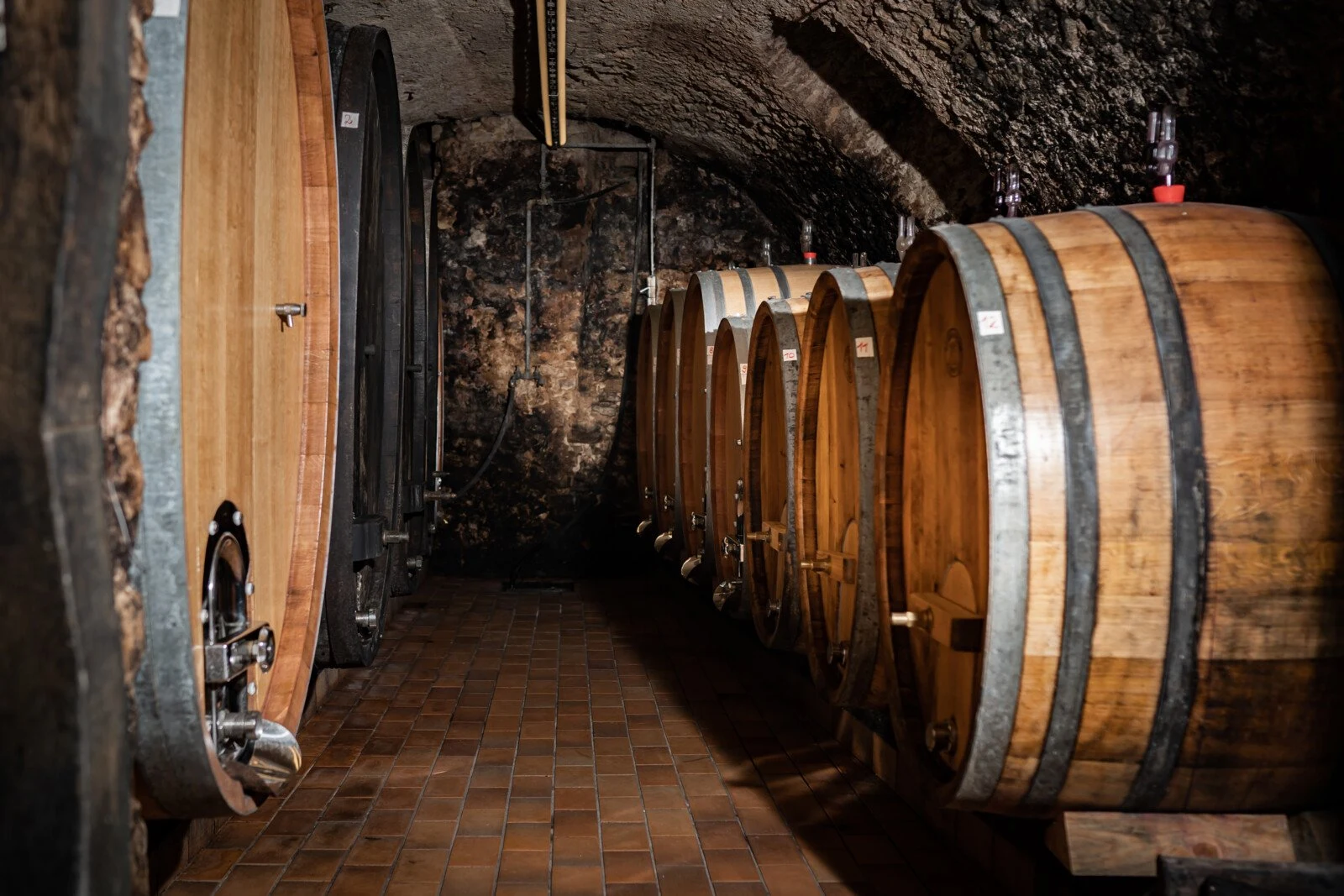 Badischer Winzerkeller