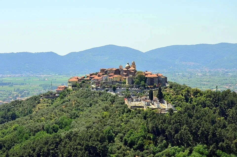 Cantine Lunae Bosoni