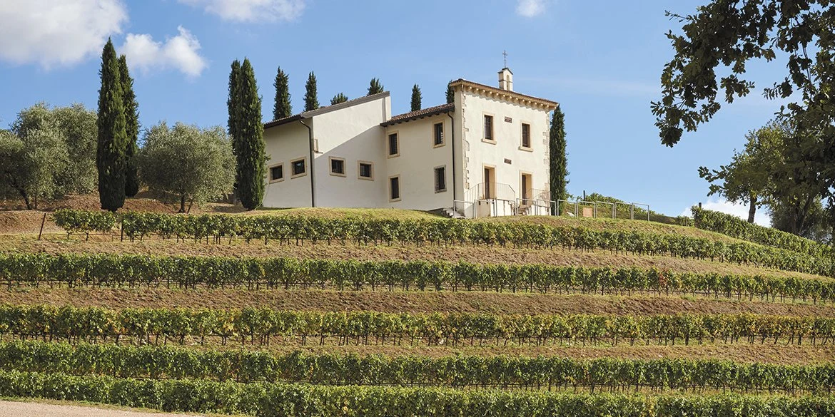 Angelini Wines & Estates