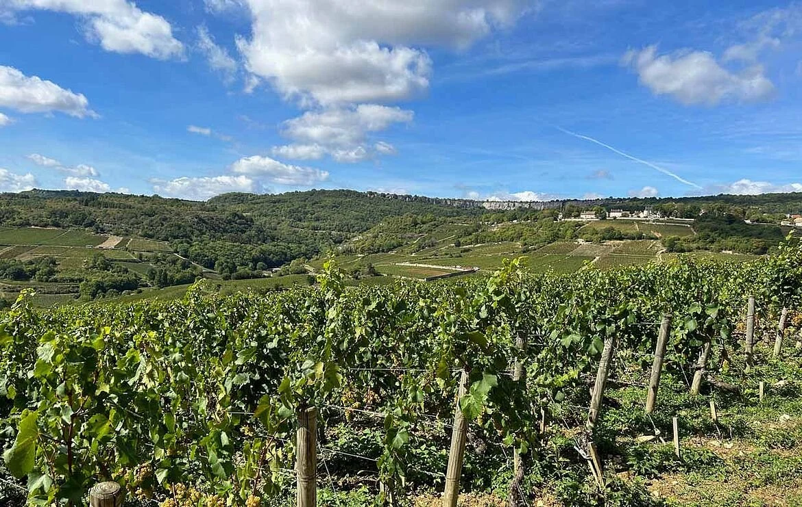 Domaine de Chassorney