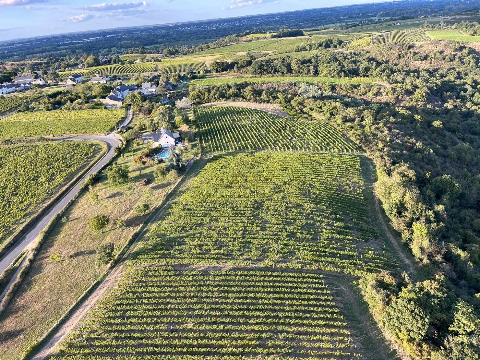 Domaine Patrick Baudouin
