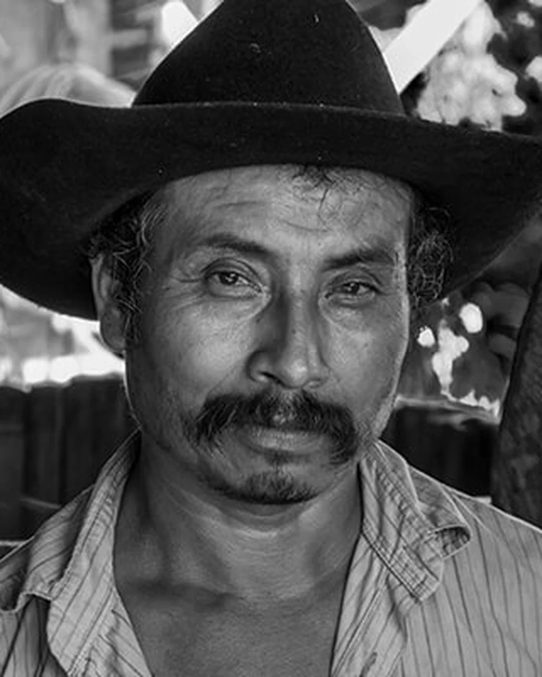 Tío Rey