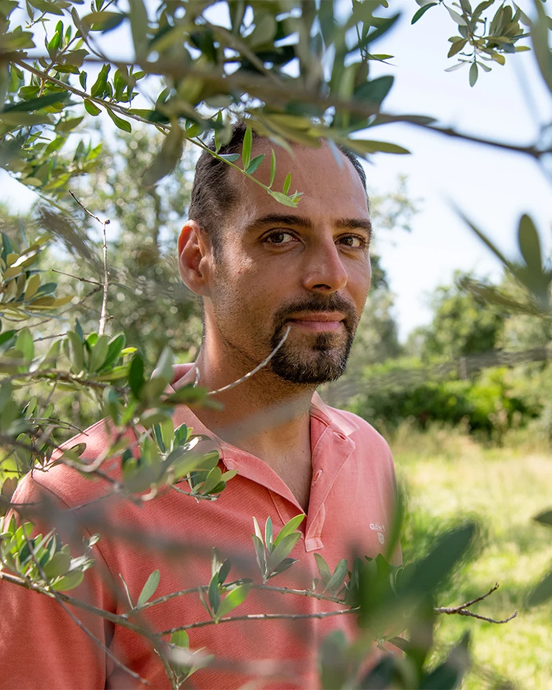Iacopo Alfeo