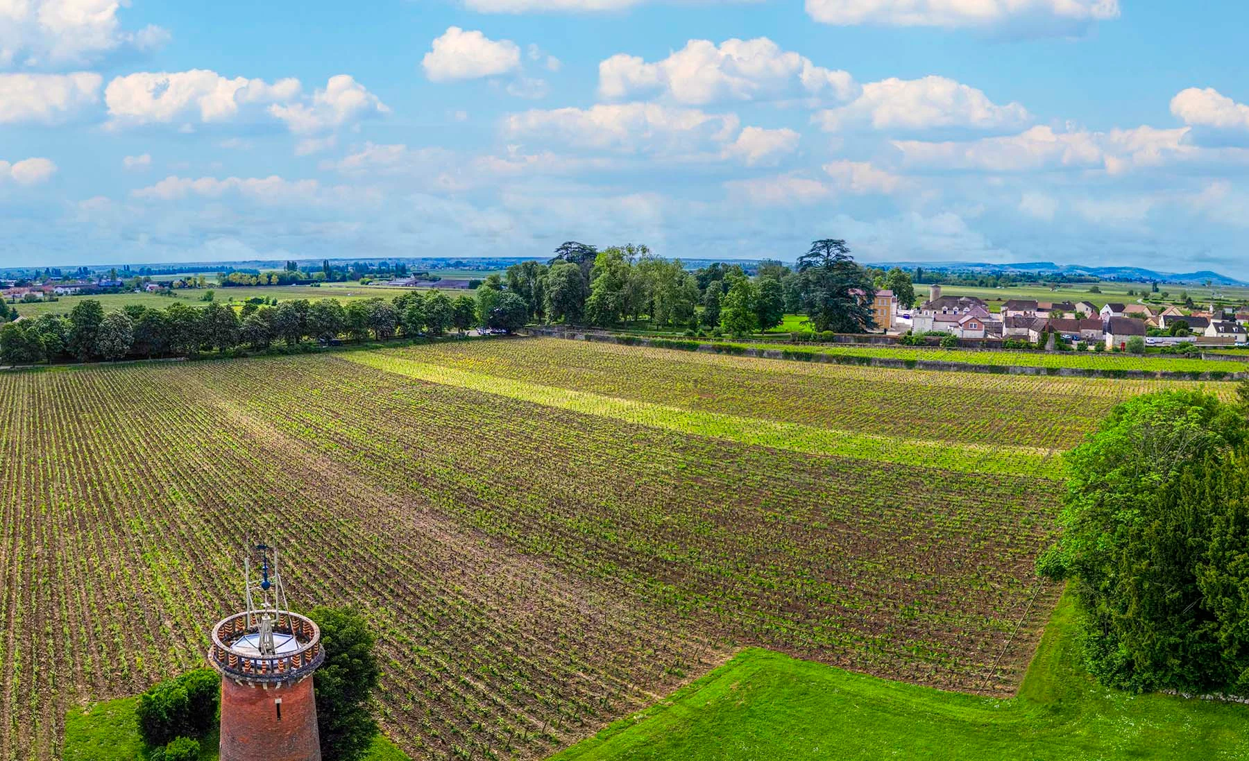 Domaine Arnaud Ente