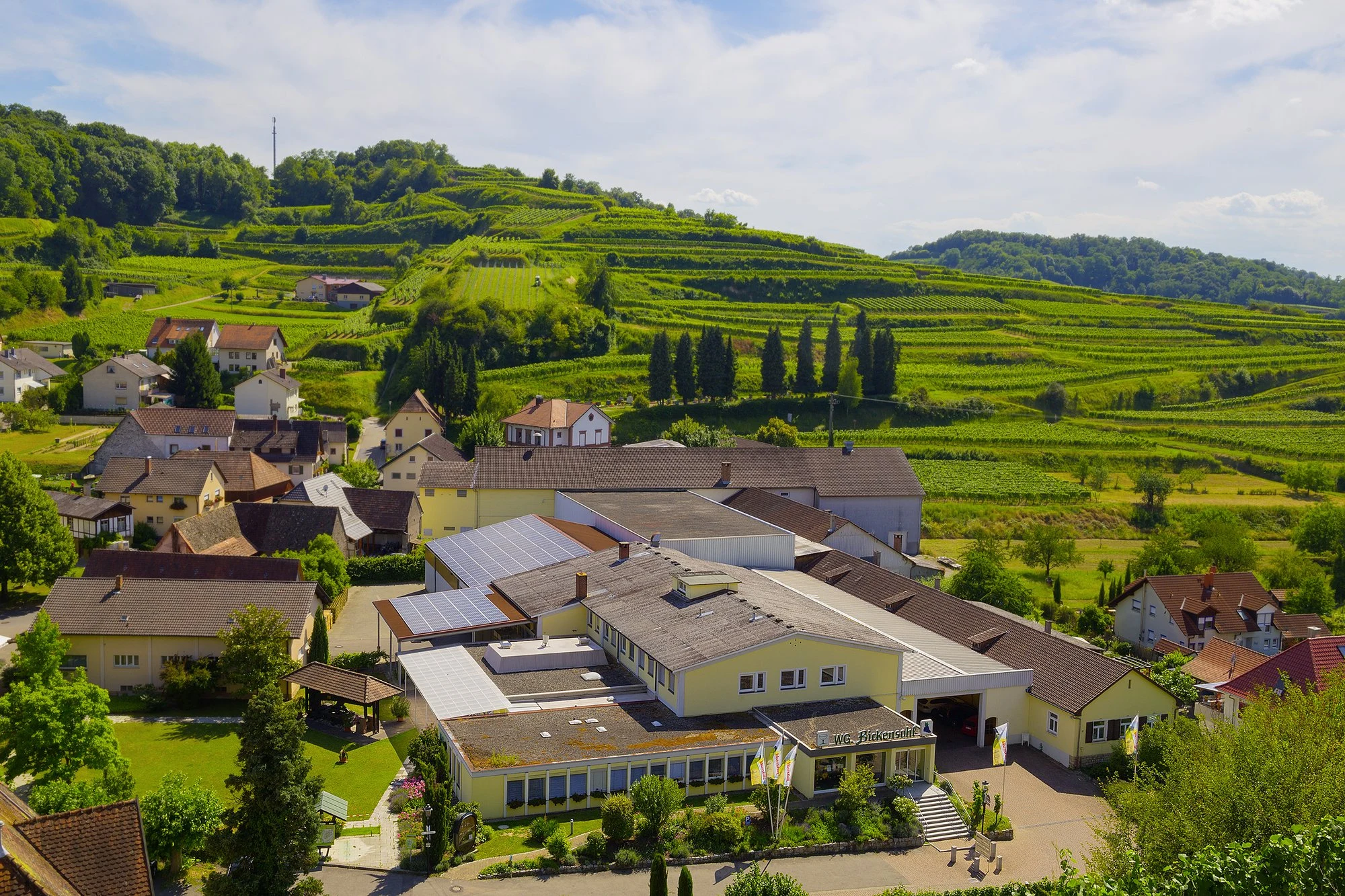 Bickensohler Weinvogtei eG