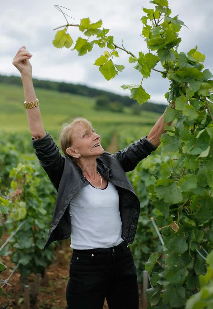 A woman in a vineyard examining grapevine leaves under an overcast sky
