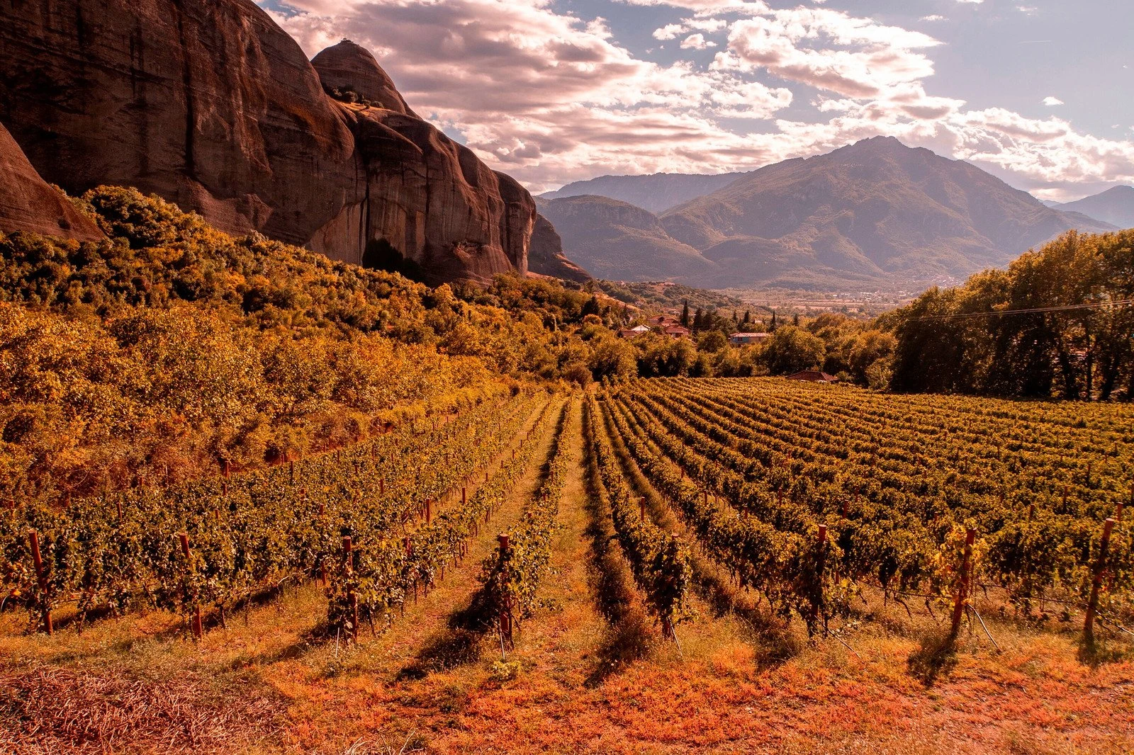 Aiolos Winery