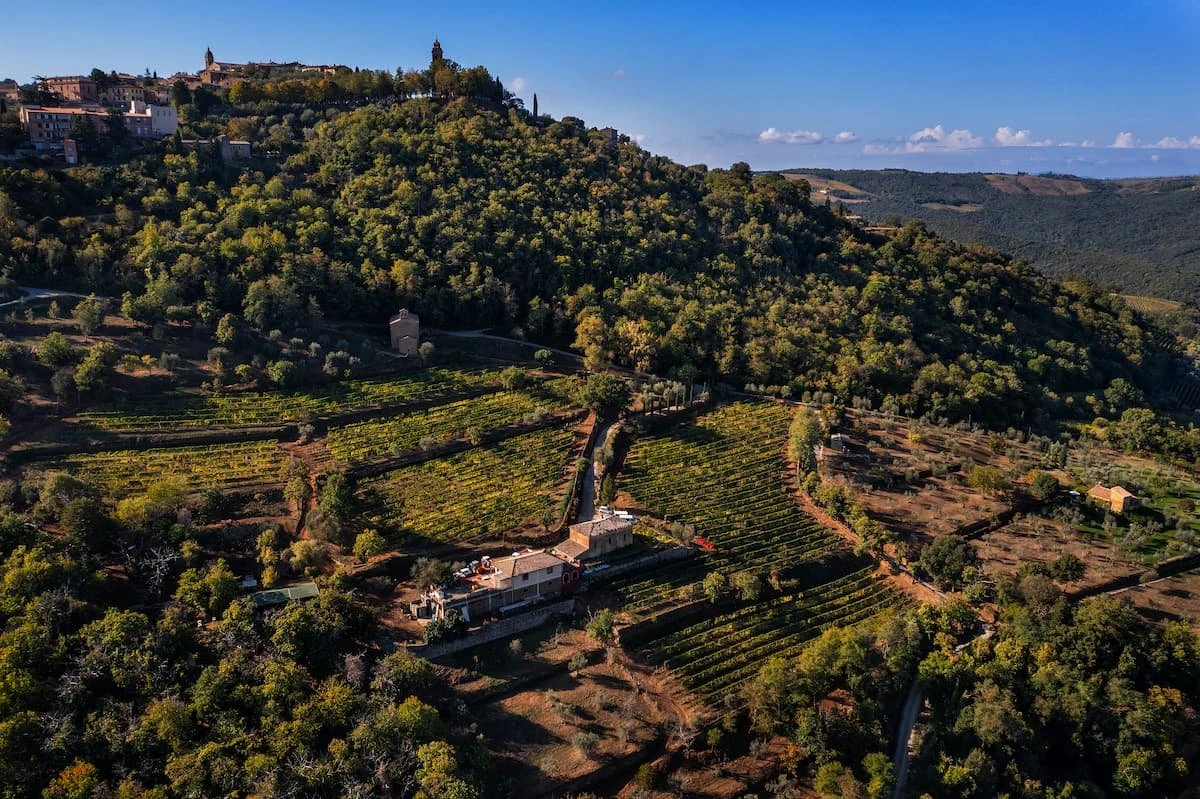 Il Marroneto