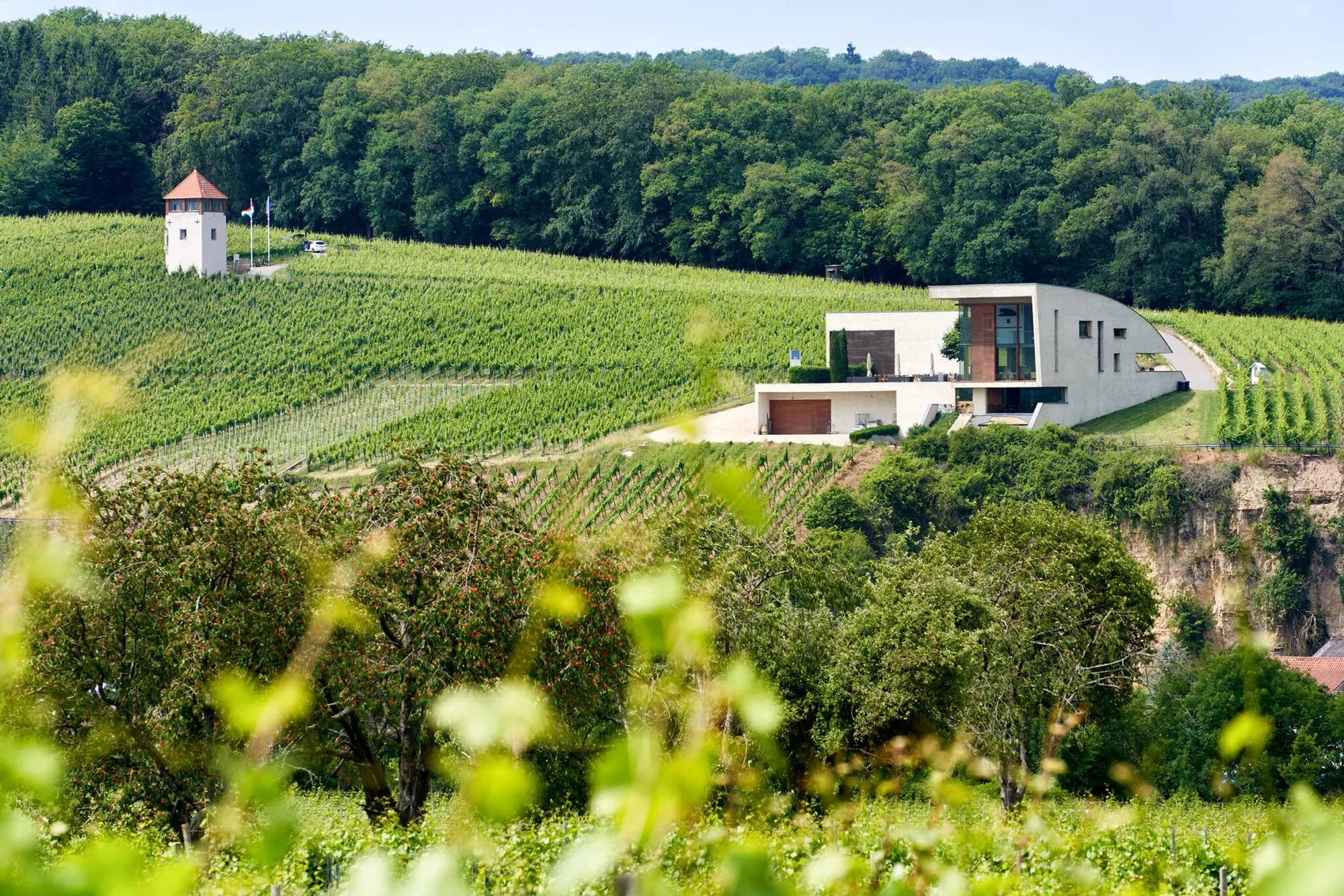 Domaine Henri Ruppert